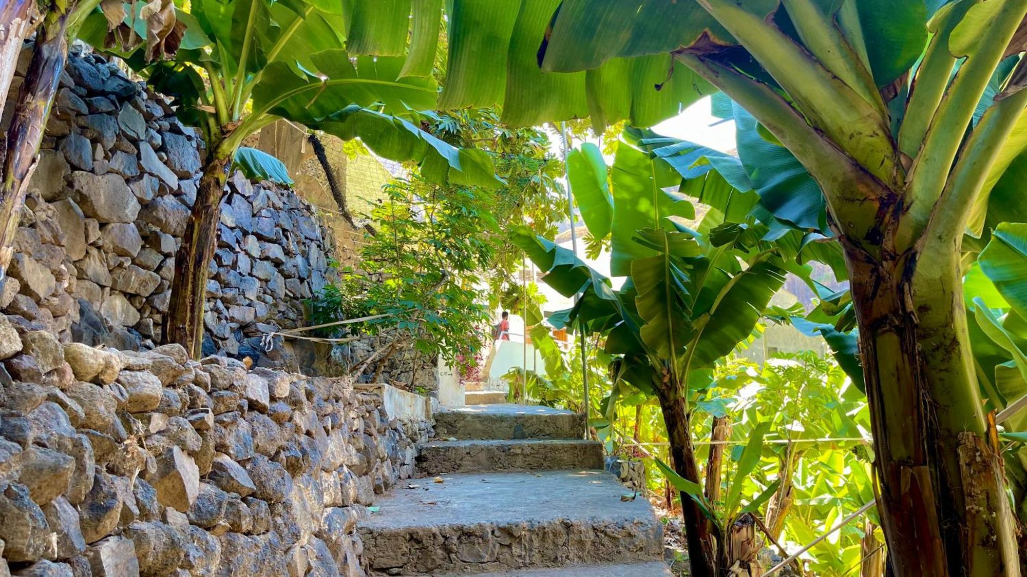 Casa Minga & Tatol Villa Ribeira Grande Exterior photo